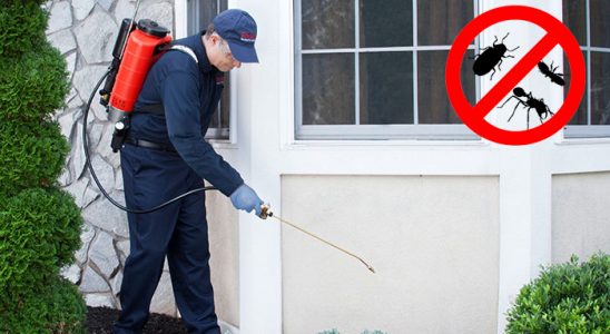 Han Dezenfeksiyon böcek ilaçlama ve haşere kontrolü — ilaclama-tr.com